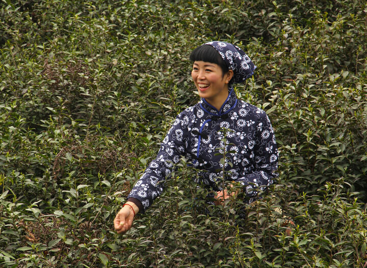 迷雾情人